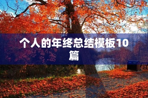 个人的年终总结模板10篇
