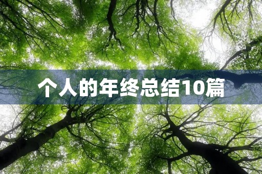 个人的年终总结10篇