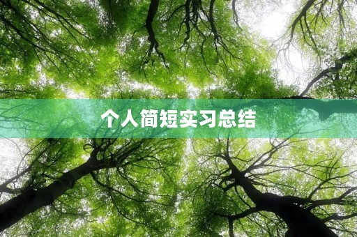 个人简短实习总结