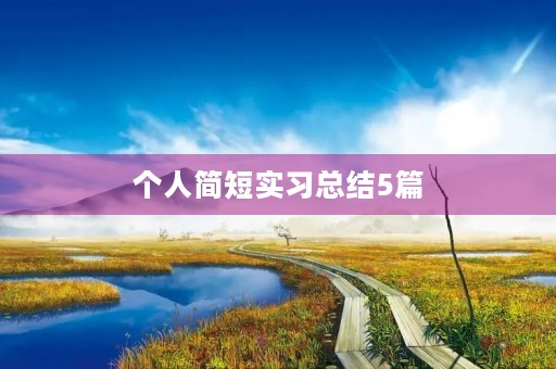 个人简短实习总结5篇