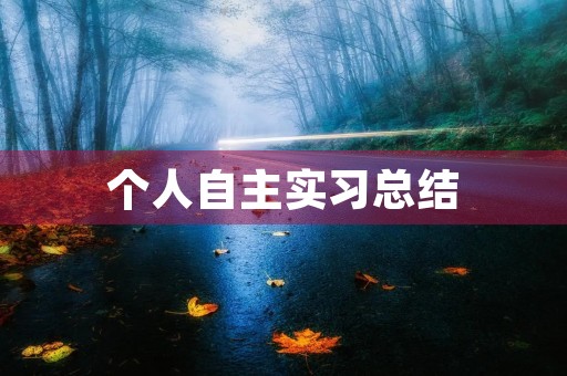 个人自主实习总结