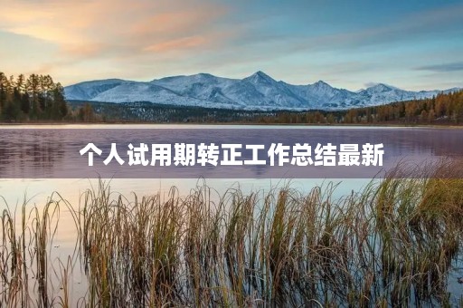 个人试用期转正工作总结最新