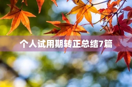 个人试用期转正总结7篇