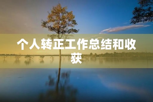个人转正工作总结和收获(14篇)