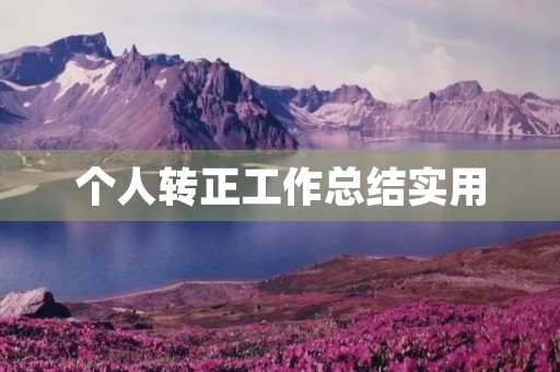个人转正工作总结实用