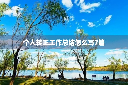 个人转正工作总结怎么写7篇
