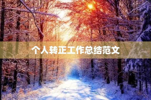 个人转正工作总结范文