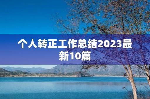个人转正工作总结2023最新10篇