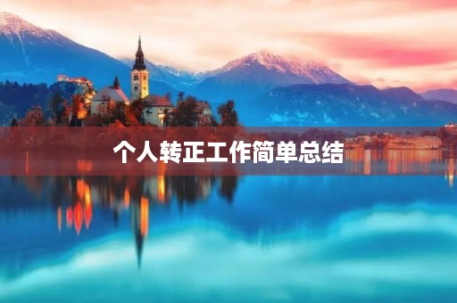 个人转正工作简单总结