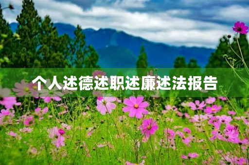 个人述德述职述廉述法报告 个人述德述职述廉述法报告