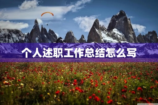 个人述职工作总结怎么写