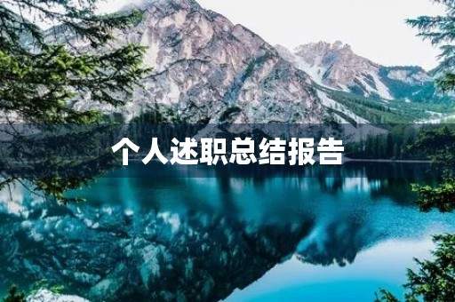 个人述职总结报告