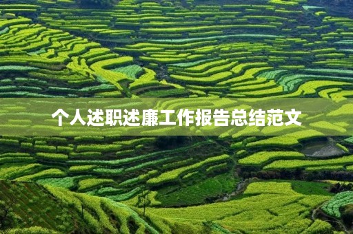个人述职述廉工作报告总结范文
