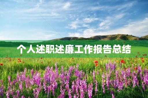 个人述职述廉工作报告总结