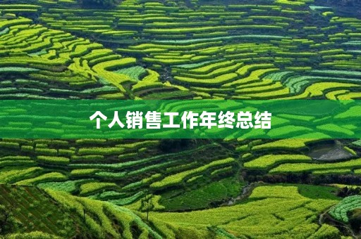 个人销售工作年终总结