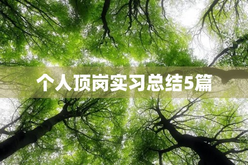 个人顶岗实习总结5篇