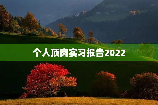 个人顶岗实习报告2022 个人顶岗实习报告2022