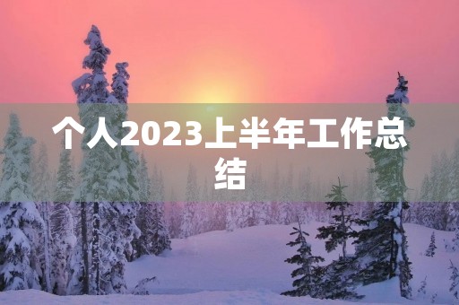 个人2023上半年工作总结
