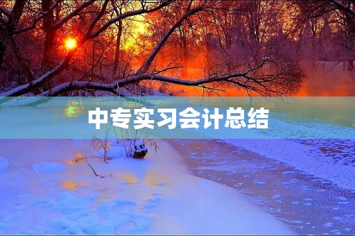 中专实习会计总结