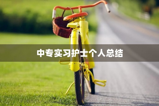 中专实习护士个人总结