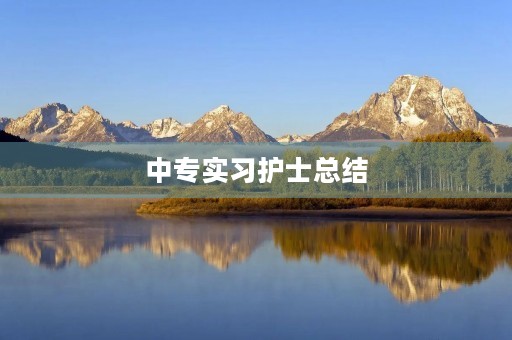 中专实习护士总结 中专实习护士总结