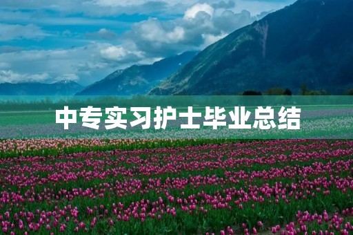 中专实习护士毕业总结