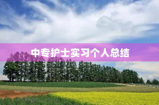 中专护士实习个人总结 中专护士实习个人总结