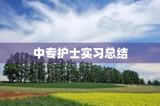 中专护士实习总结 中专护士实习总结