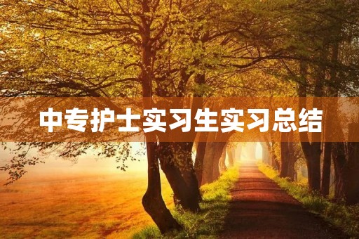 中专护士实习生实习总结 中专护士实习生实习总结