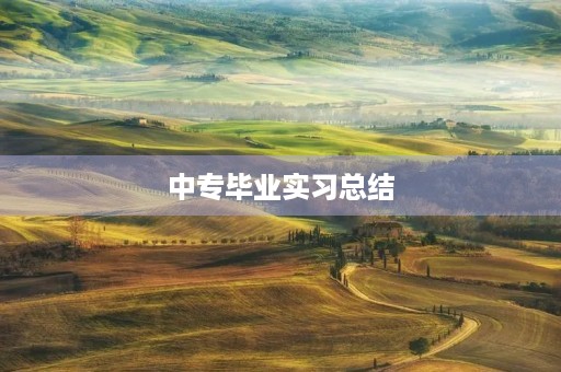 中专毕业实习总结
