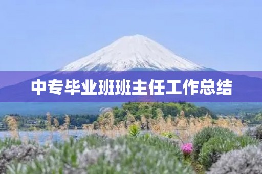 中专毕业班班主任工作总结