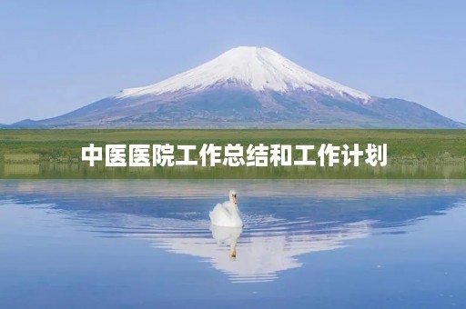 中医医院工作总结和工作计划