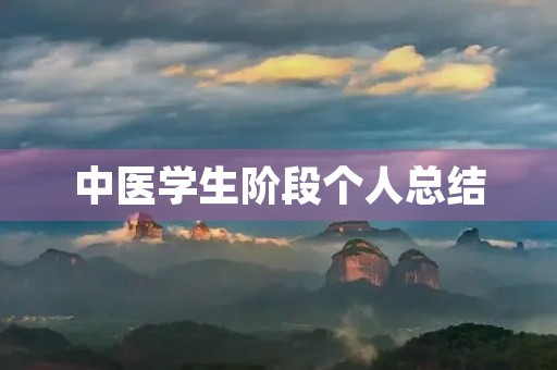 中医学生阶段个人总结