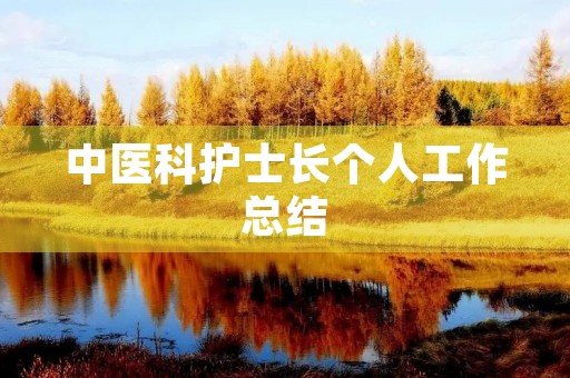 中医科护士长个人工作总结