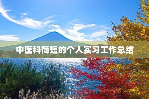 中医科简短的个人实习工作总结