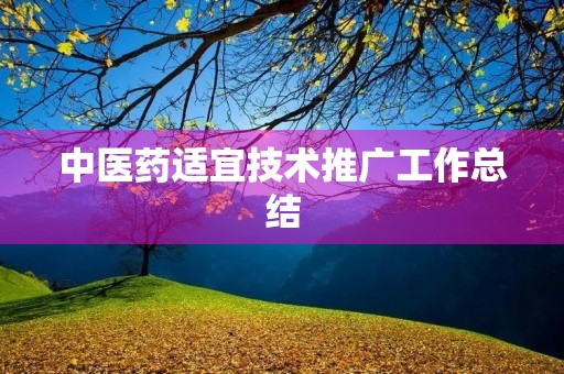 中医药适宜技术推广工作总结
