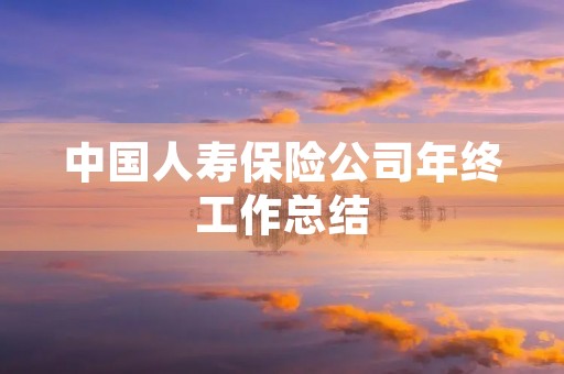 中国人寿保险公司年终工作总结