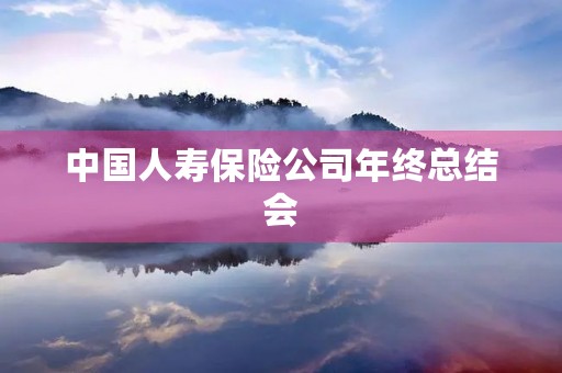 中国人寿保险公司年终总结会