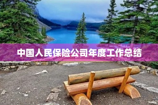 中国人民保险公司年度工作总结
