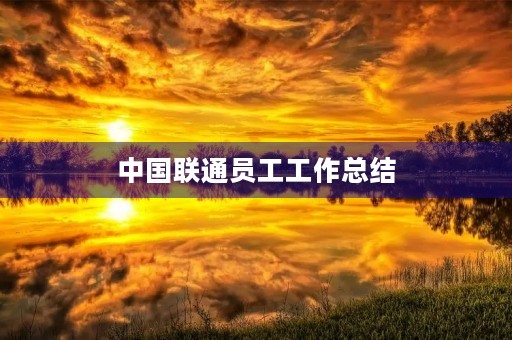 中国联通员工工作总结