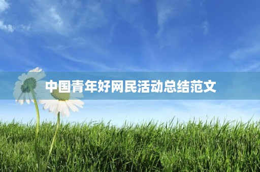 中国青年好网民活动总结范文