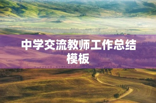 中学交流教师工作总结模板