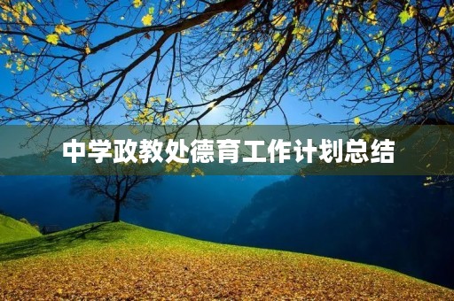 中学政教处德育工作计划总结