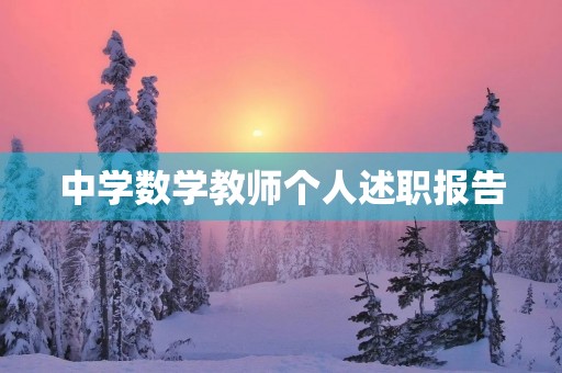 中学数学教师个人述职报告