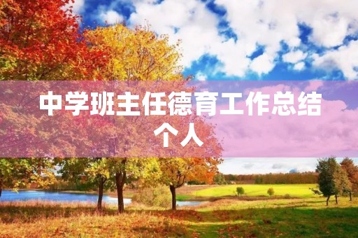 中学班主任德育工作总结个人