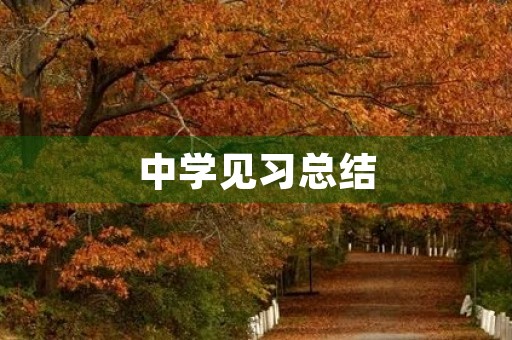 中学见习总结