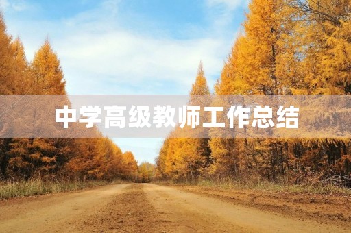 中学高级教师工作总结