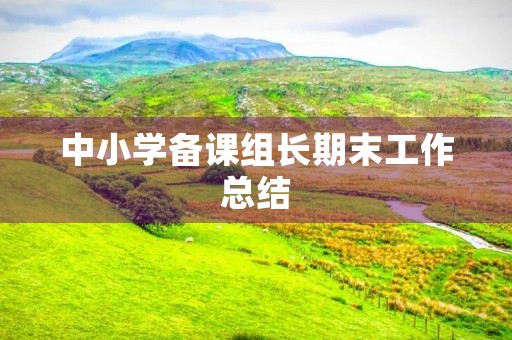 中小学备课组长期末工作总结