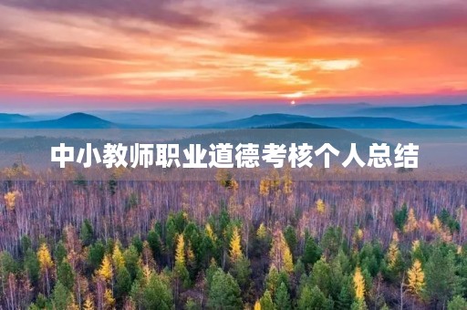 中小教师职业道德考核个人总结 中小教师职业道德考核个人总结