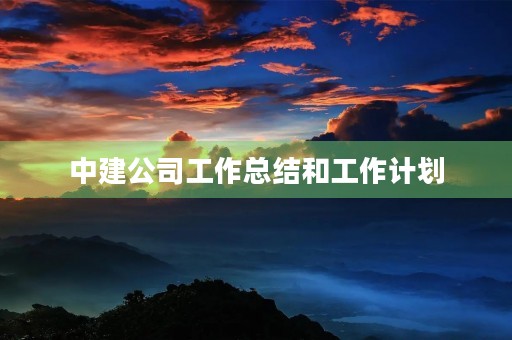 中建公司工作总结和工作计划